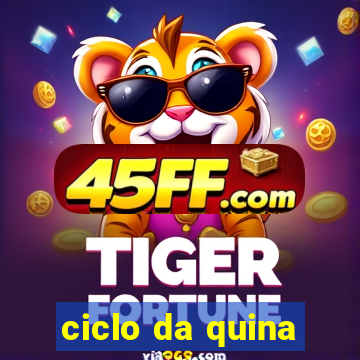 ciclo da quina